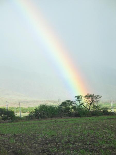 Rainbow in west maui