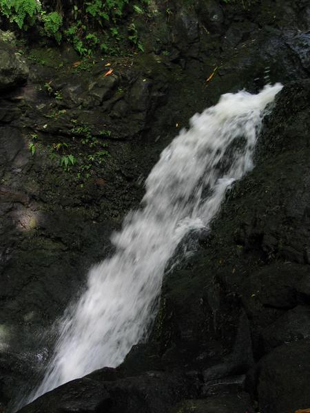 The first falls after coming back