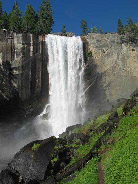 Vernal fall and green