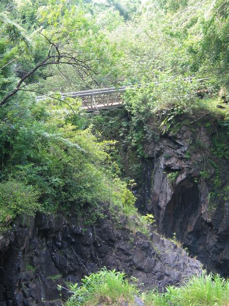 Bridge crossing the ravine