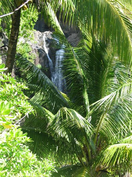 Waterfalls with greenery