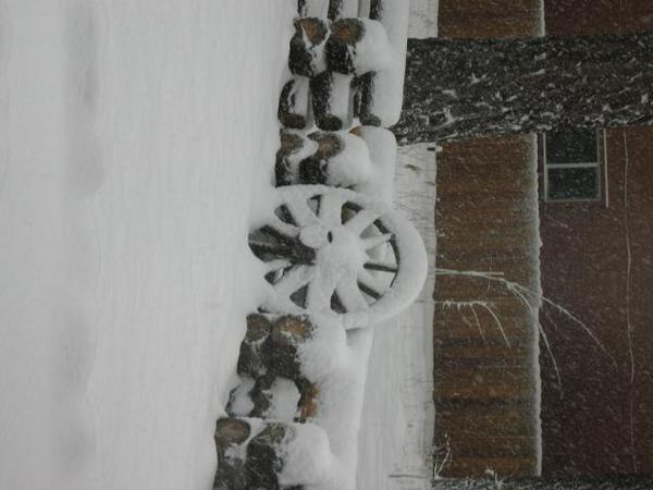 A wheel in snow