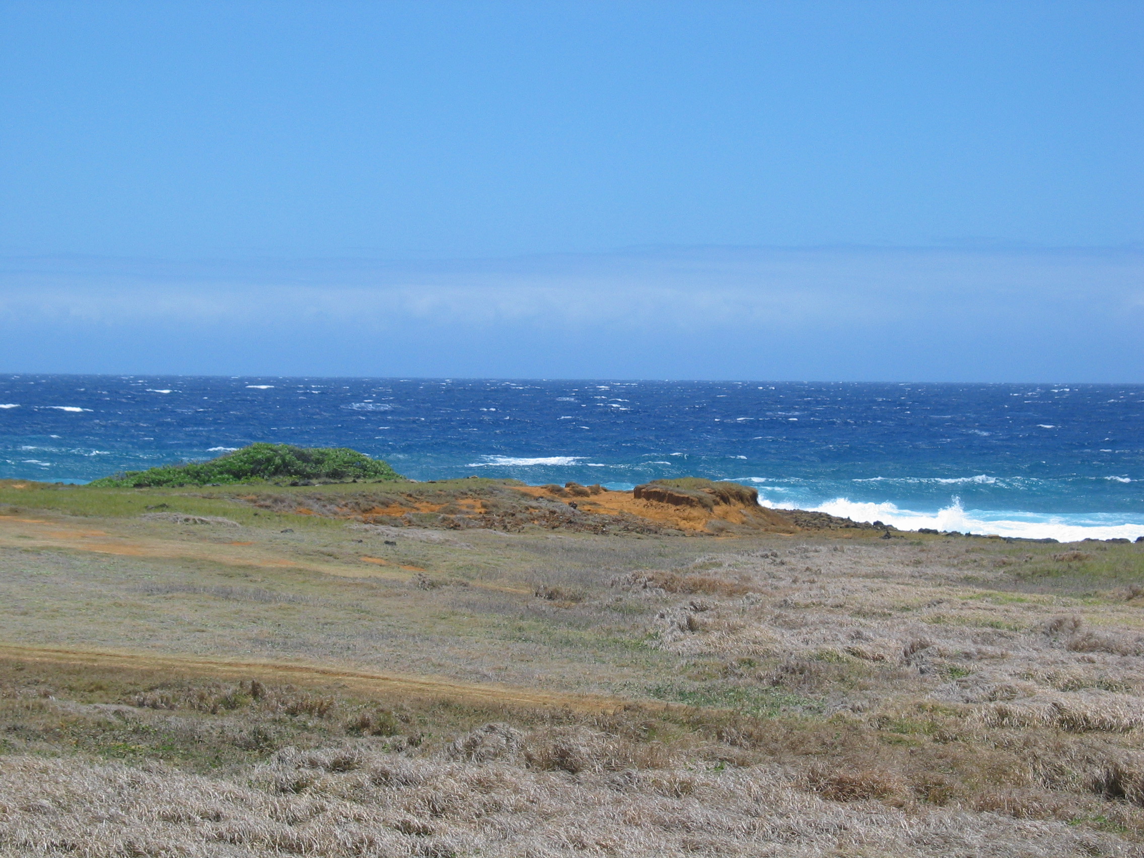 Blue, green, brown, yellow, grey