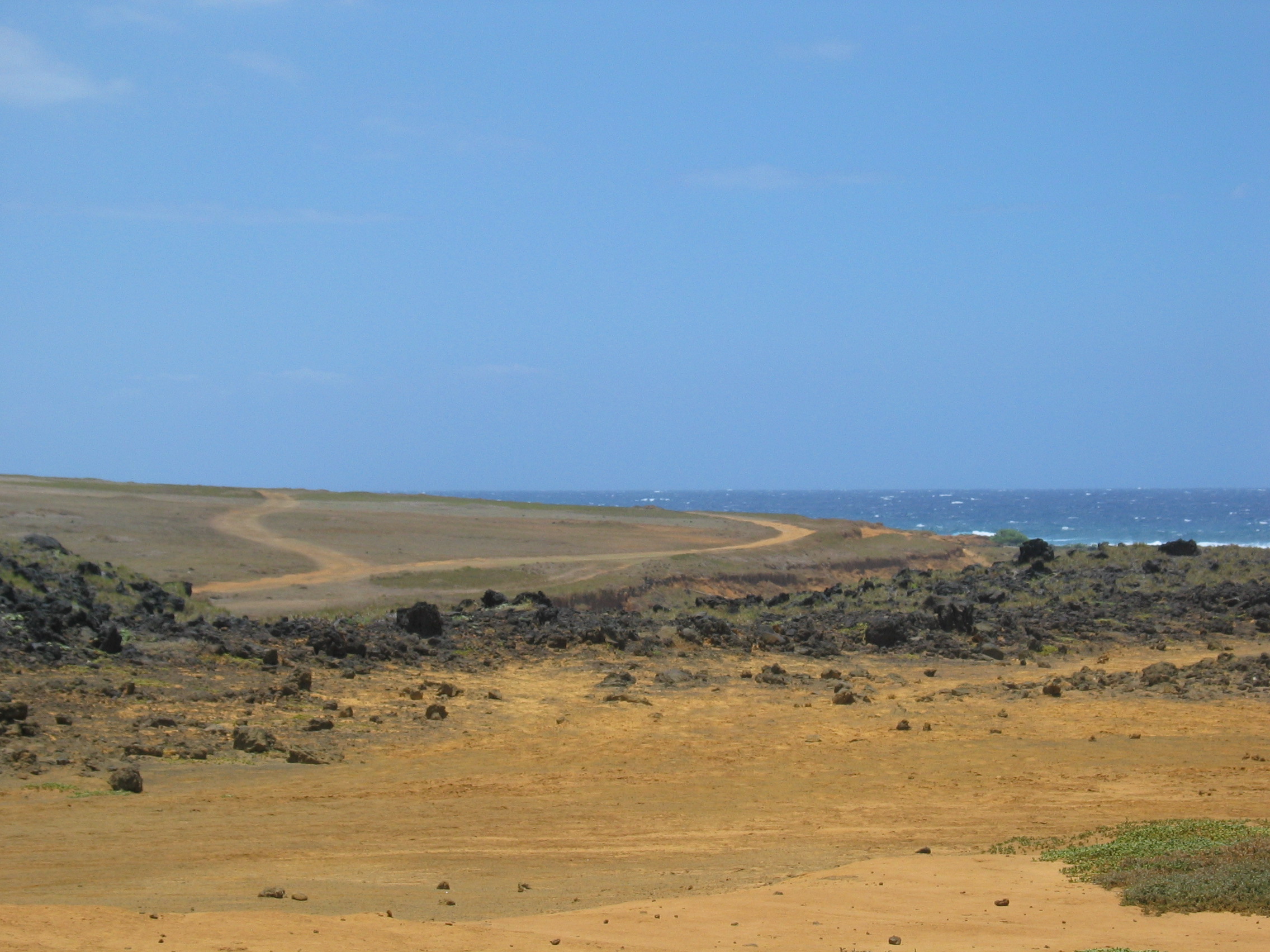 Desert on the way to green sand
