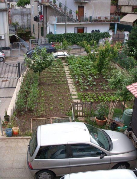 The front yard with the vegetable garden 20121216 1510938260