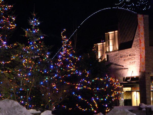 Dude it s feb and you still have the xmas lights o 20121216 2016279355