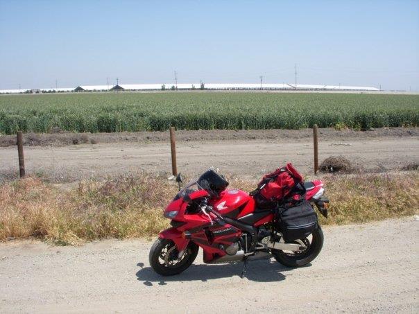 Clara and the fields in the central valley fortuna 20121216 2062354375