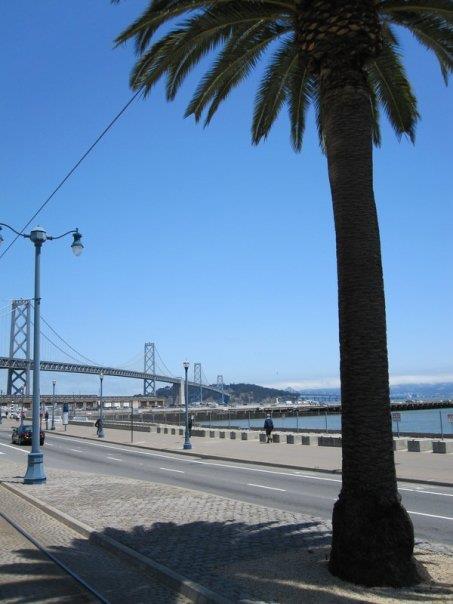 Bay bridge from south beach 20121216 1905519740