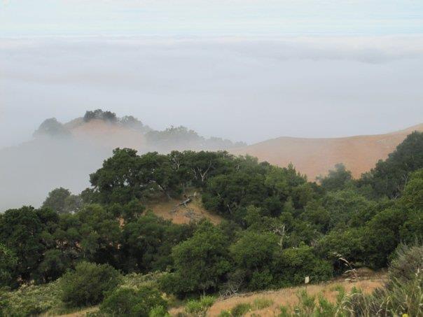 More gorgeous fog 20121216 1433551551