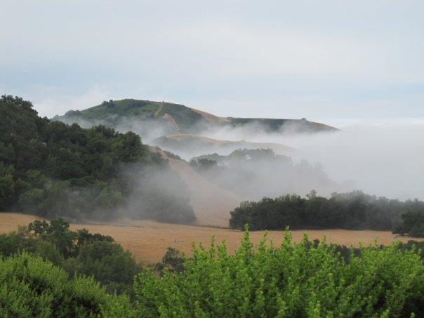 The mist hugging the hills was gorgeous but for 20121216 2008497719