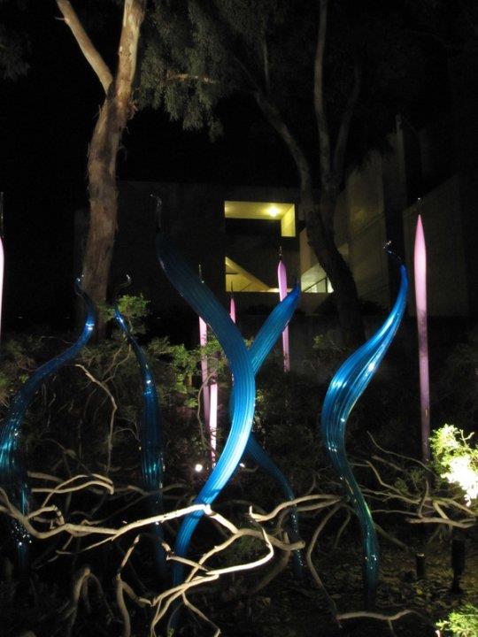 Blue cat tails 20121216 1561273214