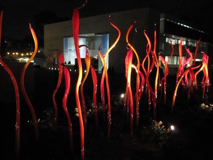 Red cat tails 20121216 1672580586