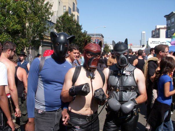 Three pups roaming the fair in costume 20121216 1299505587