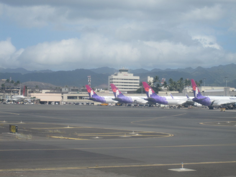 35 hawaiian dominates the airport 20121212 2036985117