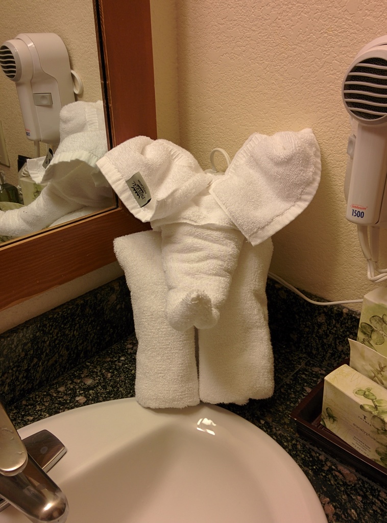 2014 02 08 080521 the towel is a little mammoth 20140213 1997133876