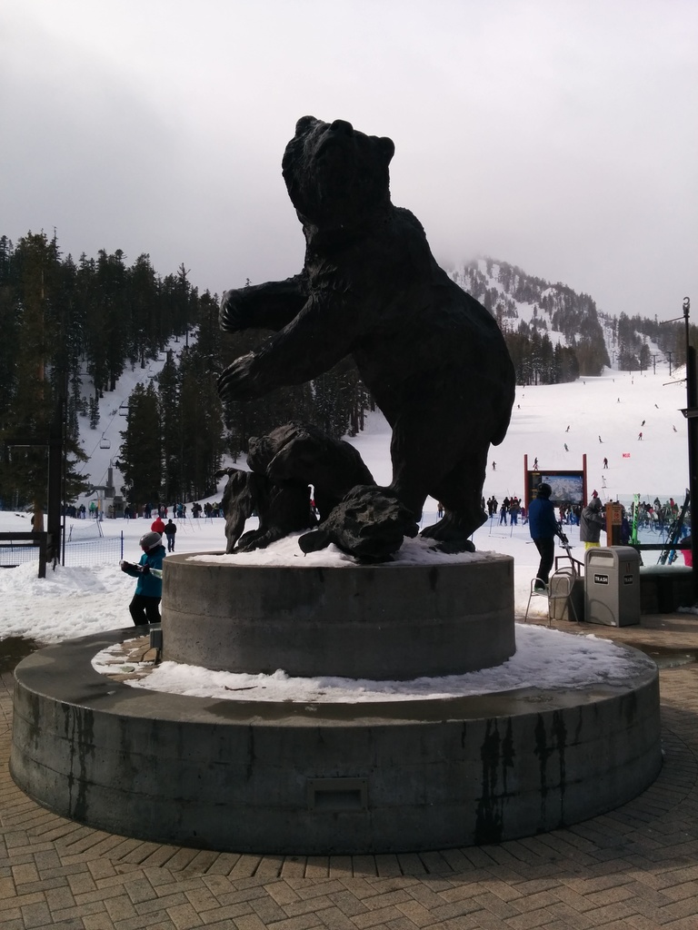 2014 02 09 110713 grizzly in front of canyon lodge 20140213 1969227783