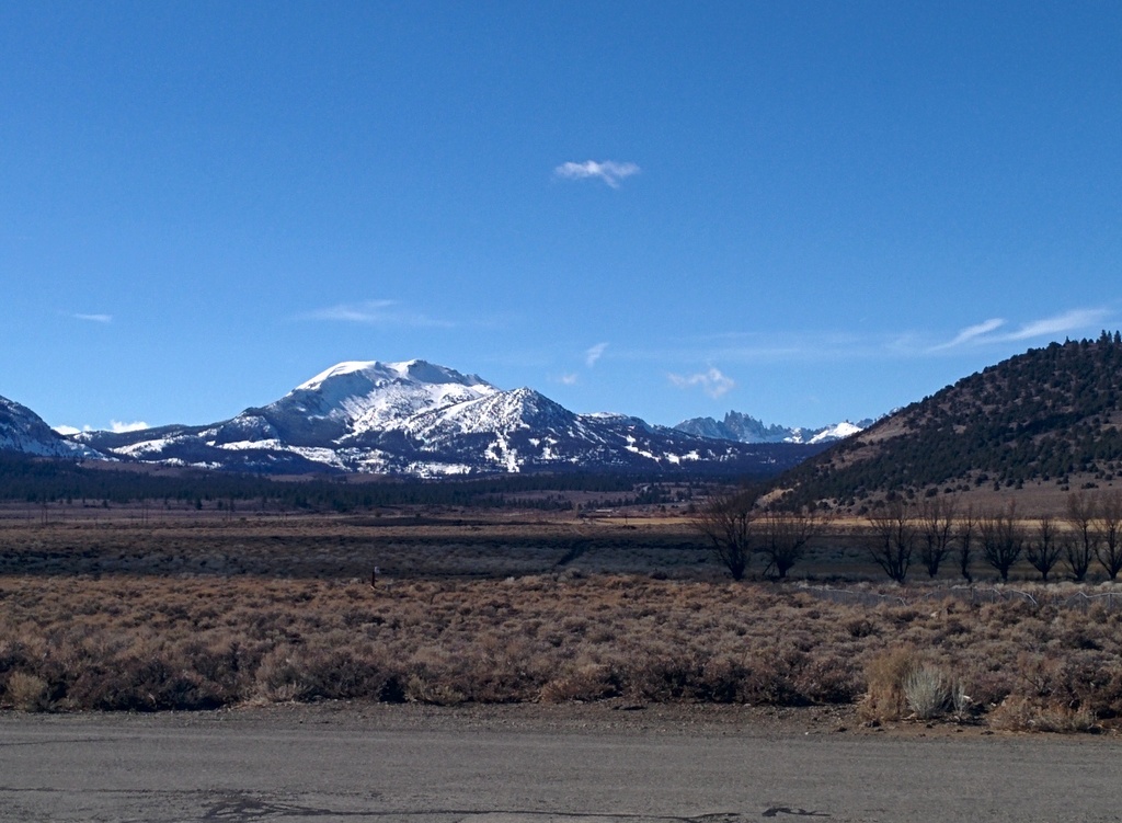 2014 02 10 133230 from here you can vaguely see the outline of a mammoth trunk left 20140213 1277614715