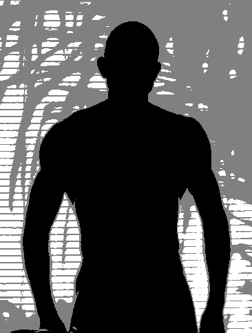 Silhouette bw 20140120 1523418927