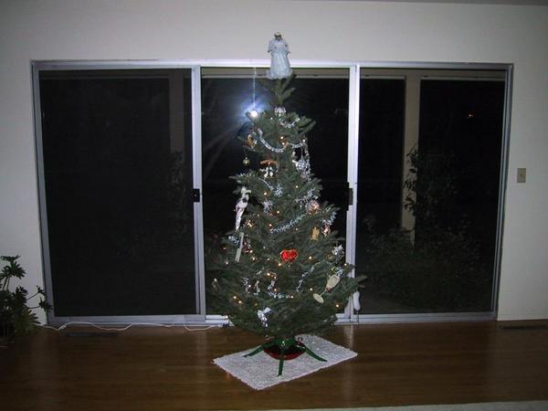 Our first christmas tree