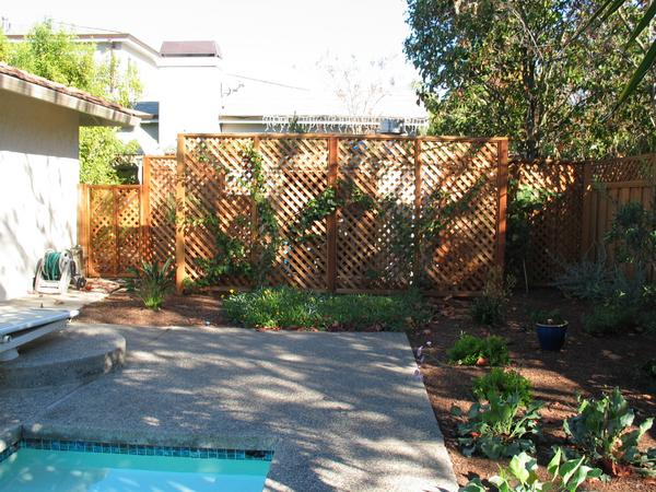 The fence before the pool shed