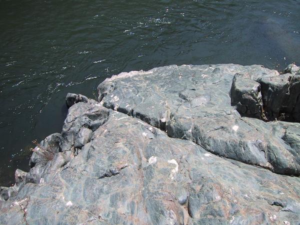 A rock jutting into the water