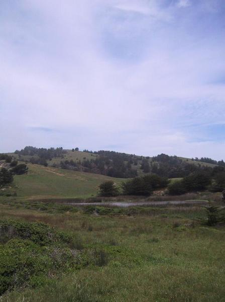 California hillside in san gregorio