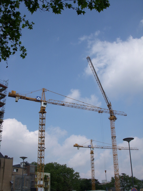 Cranes necking 20121212 1779553554