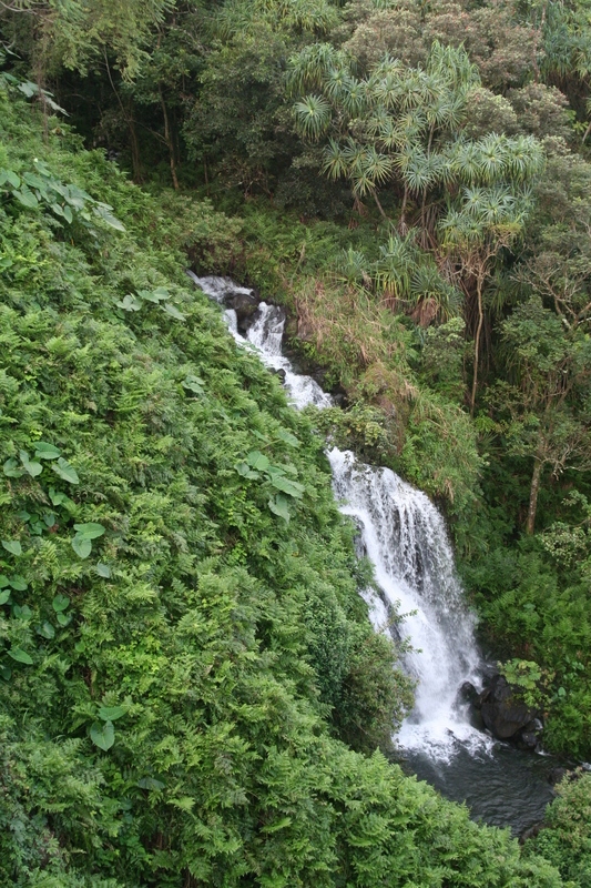 A little stream on the side of umauma