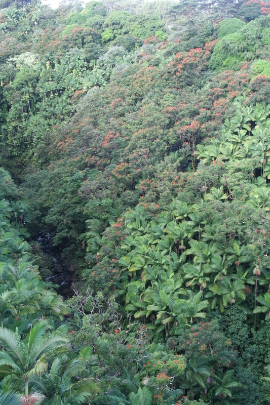 Greenery