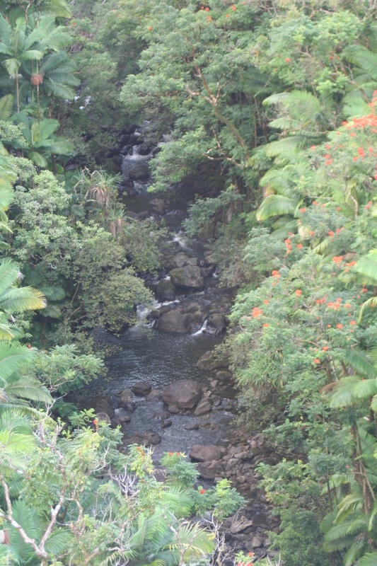 Little stream