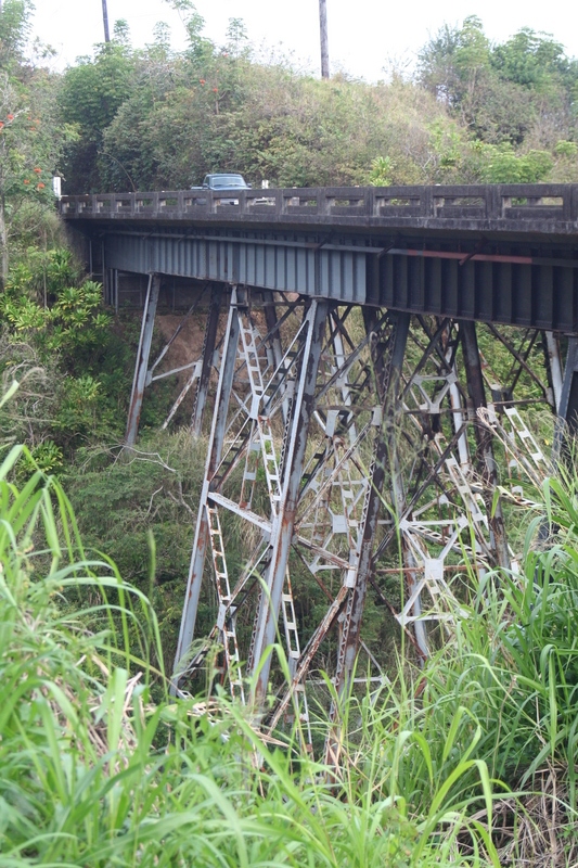 One of the highway bridges