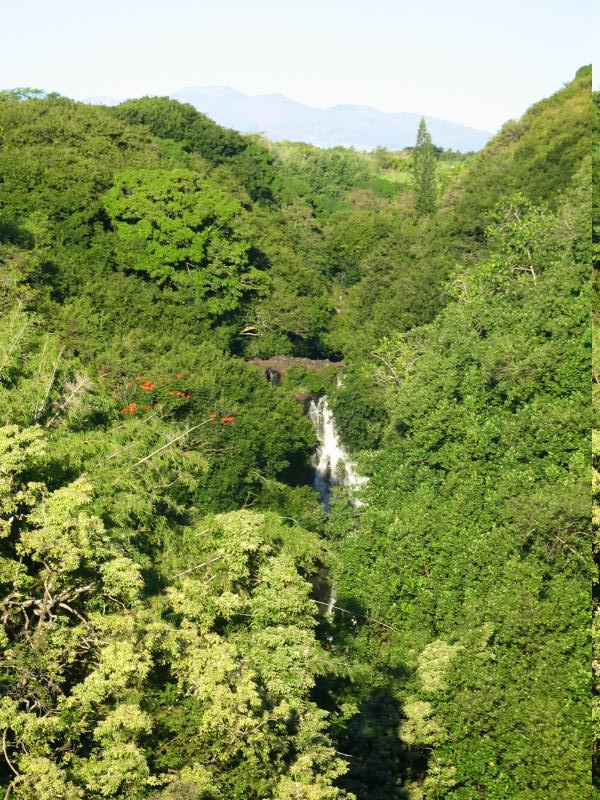 Umauma fall