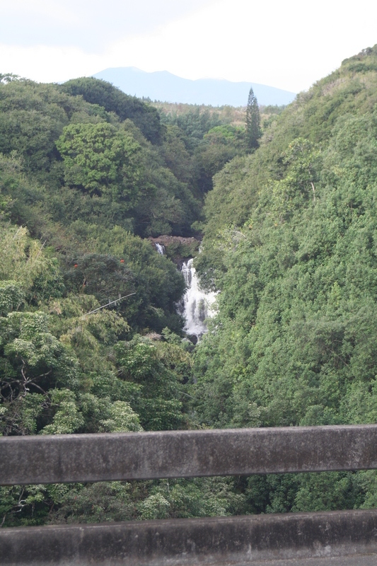 Umauma falls and mauna kea from the other side