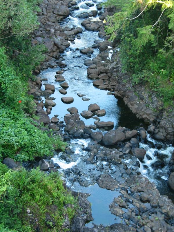 Waikaumalo stream