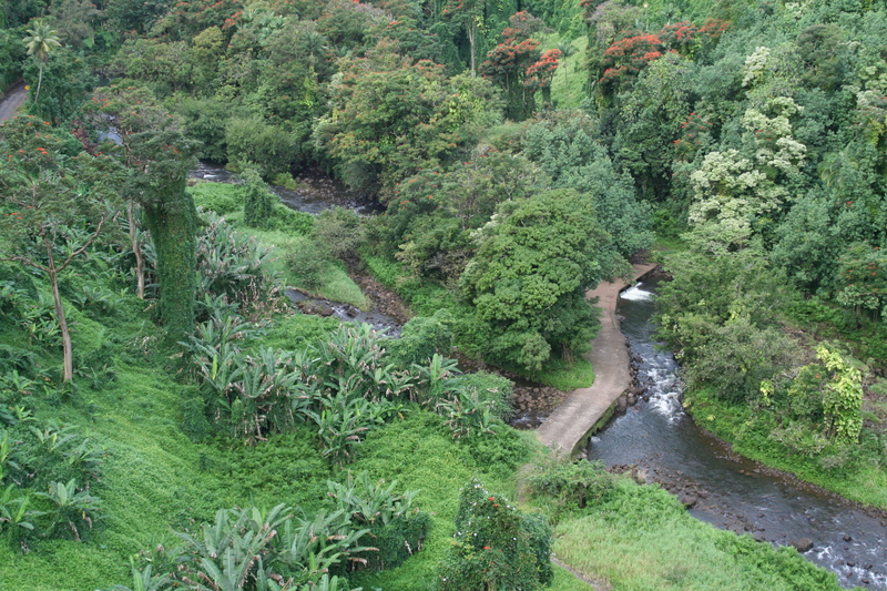 Hakalau, the bottom