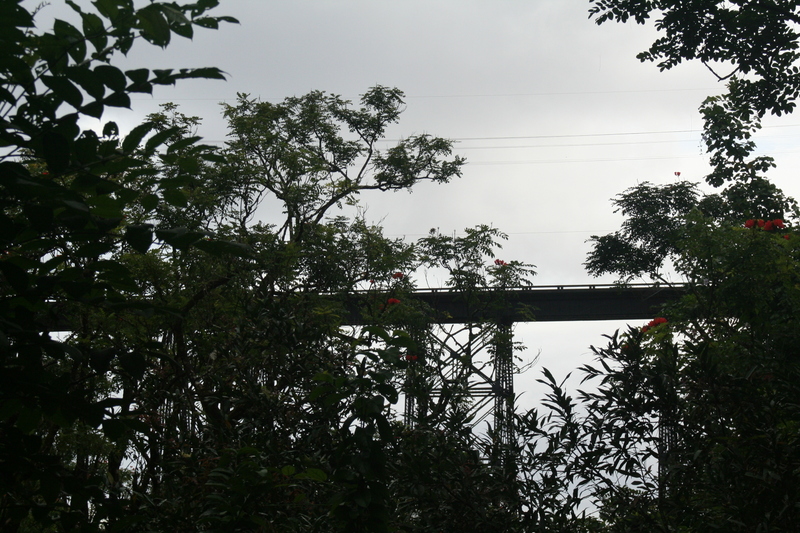 Hakalau bridge