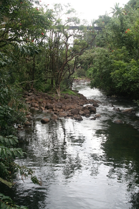 Hakalau stream gently flowing into the sea