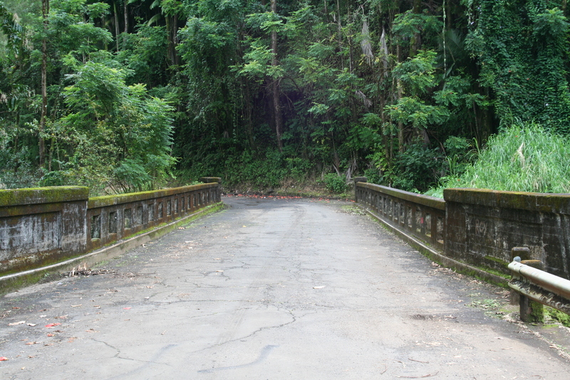 The old highway bridge
