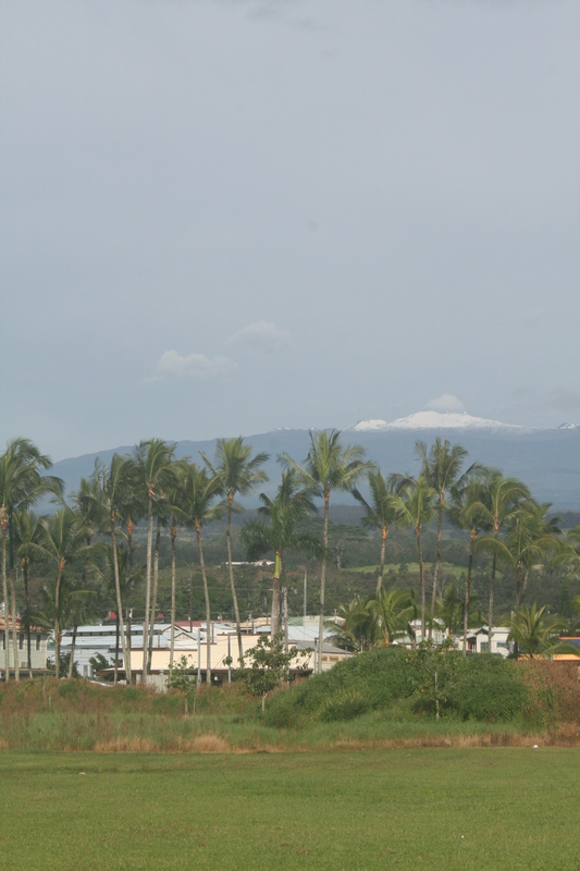 Hilo and the distant snow