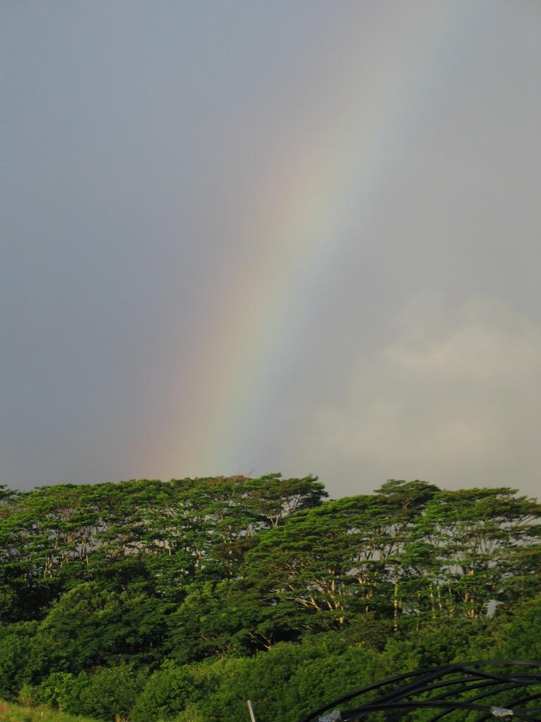 My first rainbow