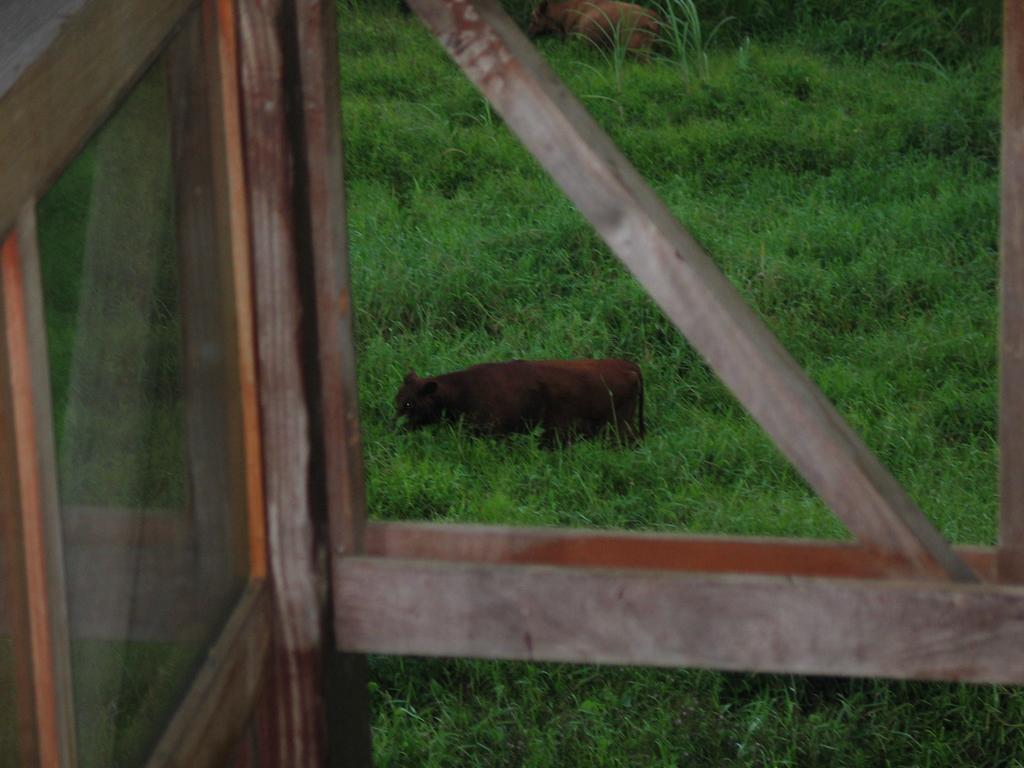That close to the house