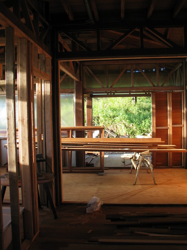 Looking out from the kitchen