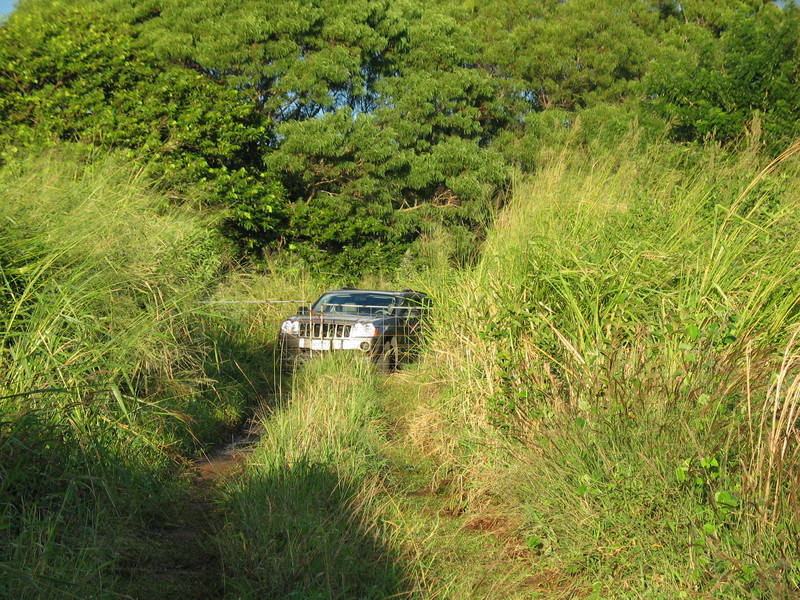 The jeep parked in front of the gate