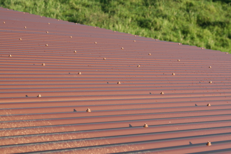 The roof