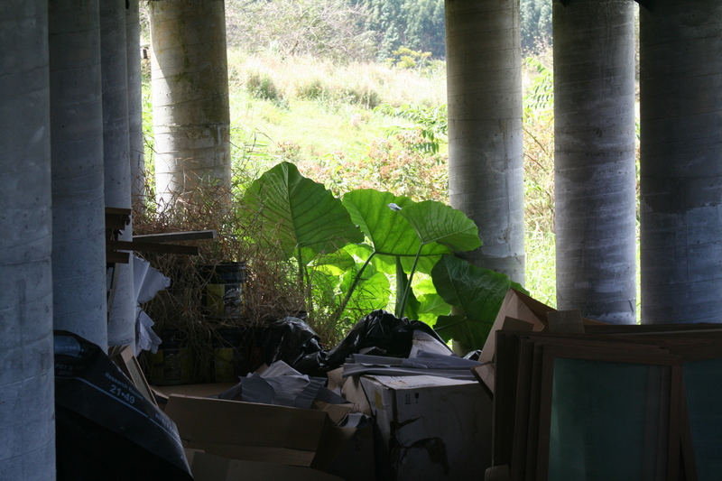 Kalo