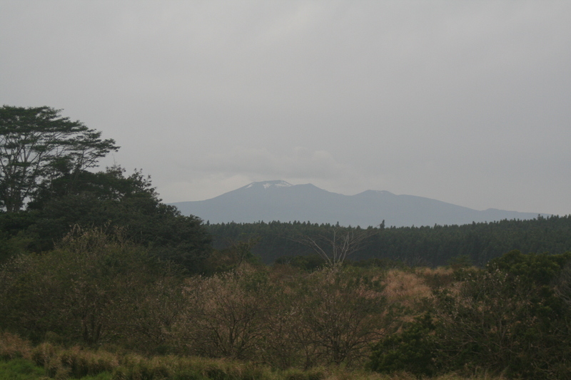 Last bits of snow