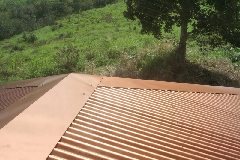 Shiny roof