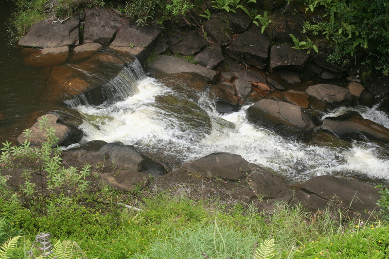 S cataract