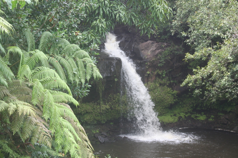 S natural setting