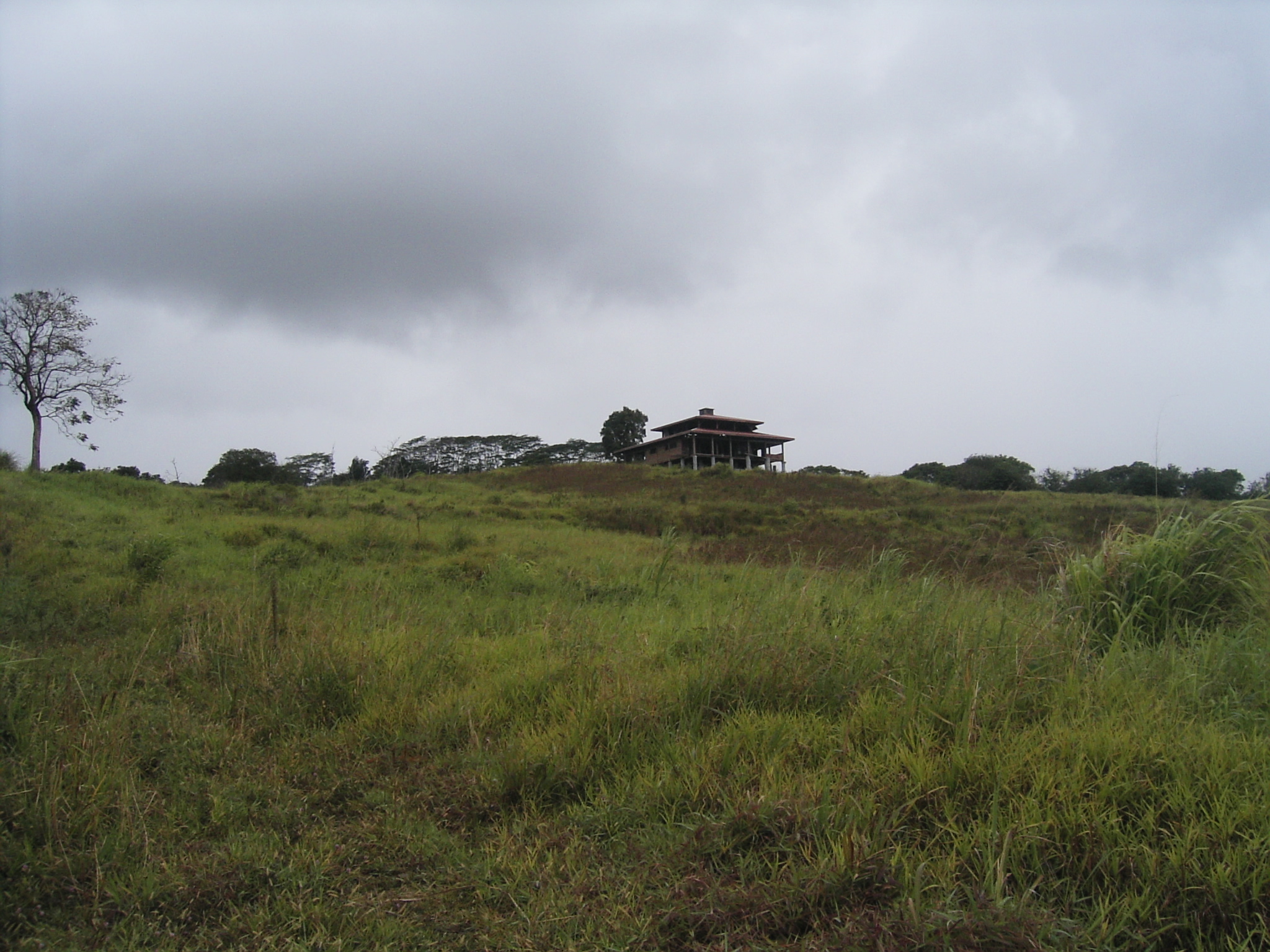 The house from the distance